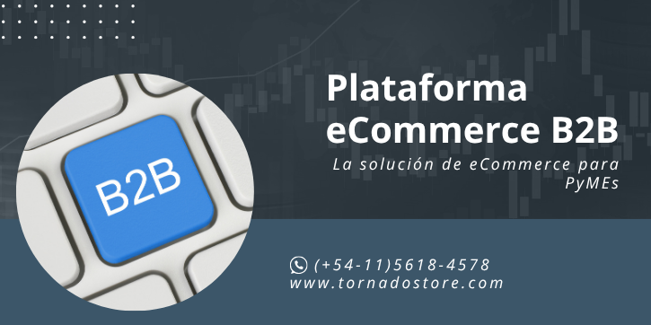 Plataforma eCommerce B2B: Transforme la gestión mayorista de su empresa